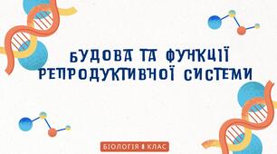 Будова та функції репродуктивної системи