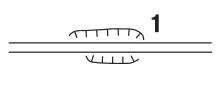 0800r0j3-7bb1-220x90.jpg