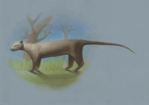 0800r0kp-aafe-300x212.png
