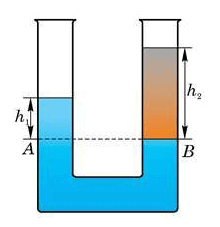 0800r1kn-d788-220x227.png