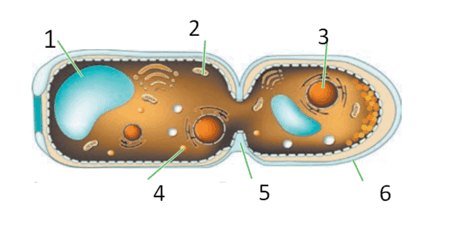 0800r1tp-f5d5-455x238.png