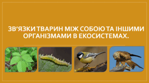 Презентація "Зв’язки тварин між собою та іншими організмами в екосистемах. НУШ".