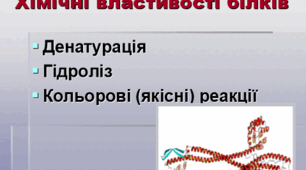 Хімічні власивості білків.