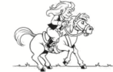 0800r4u3-2424-222x142.png