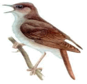 0800r6in-5739-126x122.png