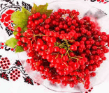 0800r6j6-47b5-156x134.png