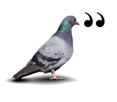 0800r82b-9e9e-464x406.png