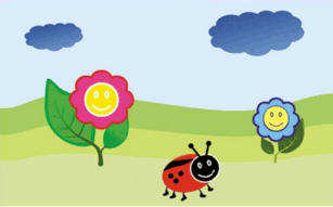 0800racm-6d80-307x191.png