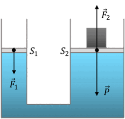0800rdfv-ee5a-254x241.png
