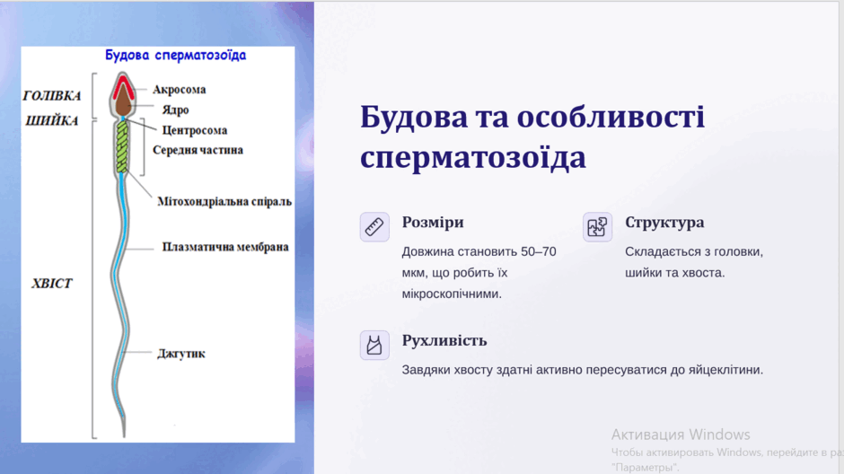 0800re06-ea90-940x528.png