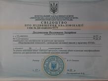  "Впровадження технологій громадсько-активної школи у практику НУШ"  30г.