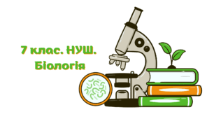 7 клас. Біологія. НУШ. Практична робота 8. Розпізнавання їстівних та отруйних грибів своєї місцевості