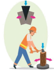 0800rh2a-3955-175x231.png