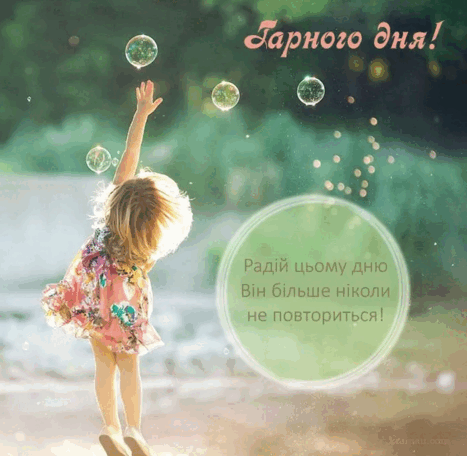 0800rj2r-5df3-693x676.png