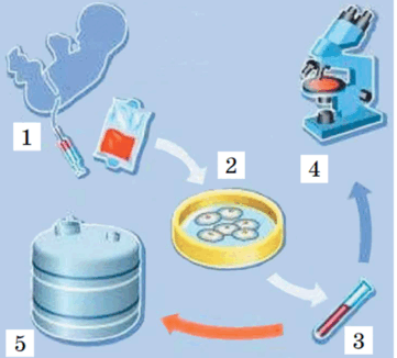 0800rktn-320e-361x326.png