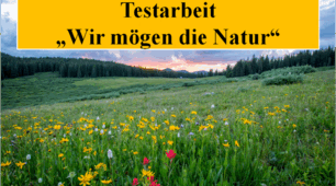 Testarbeit "Wir mögen die Natur"