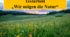 Testarbeit "Wir mögen die Natur"