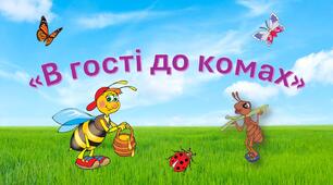 Логіко-математичний розвиток + Мовлення дитини "В гості до комах"