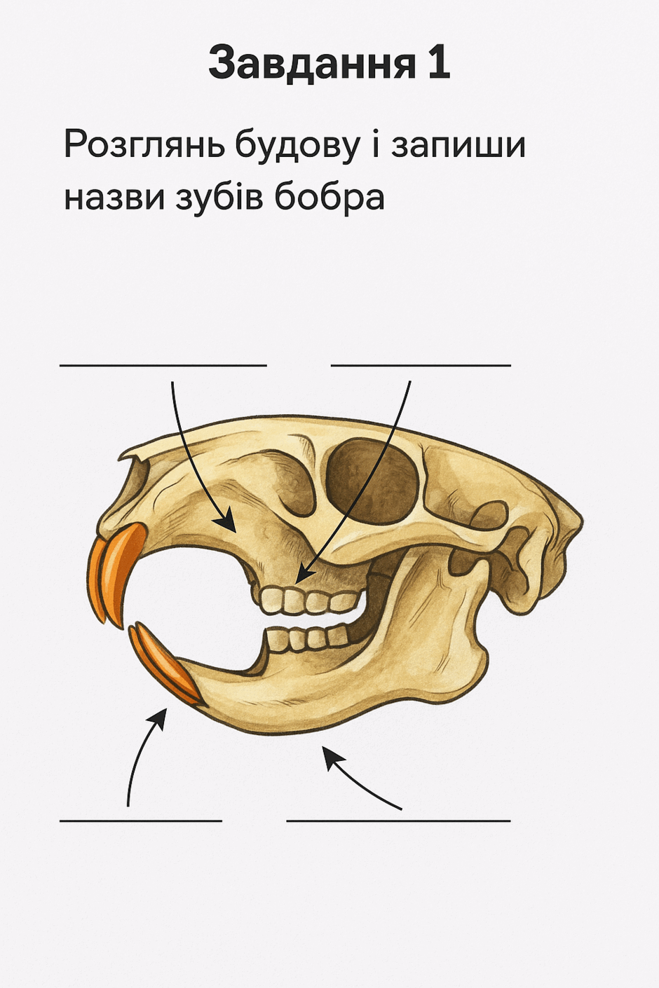 0800rok6-1fc3-940x1410.png