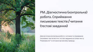 Презентація "РМ. Діагностична (контрольна) робота. Сприймання письмових текстів / читання (тестові завдання)"