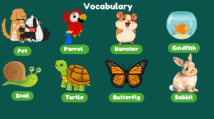 Animals. Pets (Тварини. Домашні улюбленці.), 2 клас, Будна