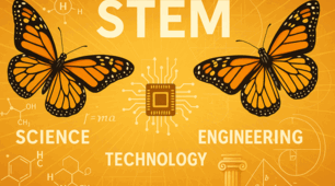 STEM-тест: «Золотий переріз та Леонардо да Вінчі», 6 клас.