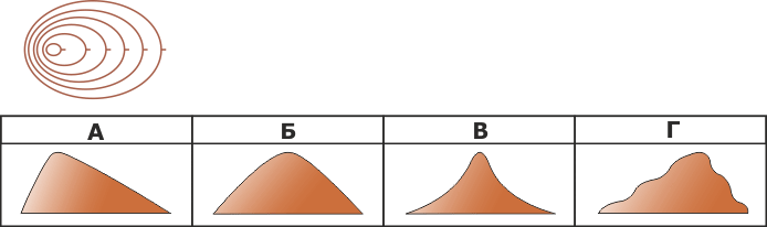 0800rugz-0074-694x206.png