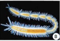 0800rxu7-22d2-203x140.png