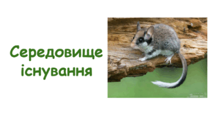Презентація на тему "Середовище існування" . 9 клас