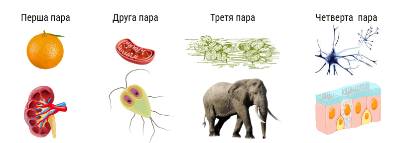 0800s55g-b3e5-793x288.png