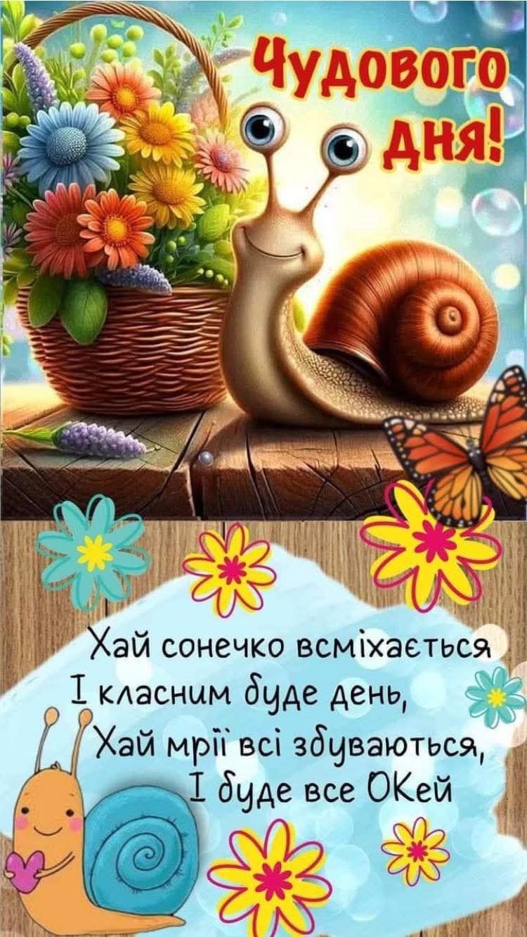 0800s5a2-5a6b-750x1332.jpg
