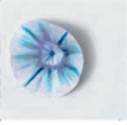 0800scqc-d962-116x114.png