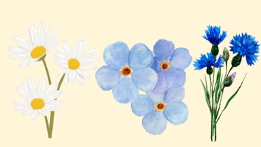 0800sdf5-d021-371x209.png