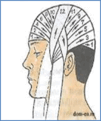 0800selk-470c-101x121.png