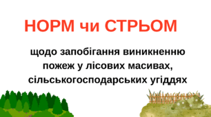 Гра " Норм чи стрьом "щодо запобігання виникненню пожеж у лісових масивах та сільськогосподарських угіддях