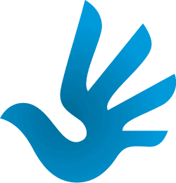0800shv5-b503-250x261.png