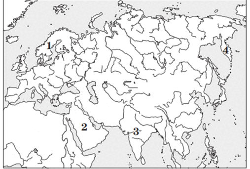 0800shzk-470f-507x342.png