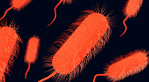 Прокаріоти: особливості бактерій. 🧫 🦠7 кл НУШ