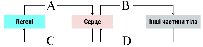 0800sl81-1ef1-693x163.png
