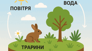 Робочій аркуш Природні комплекси як наслідок взаємозв’язків між компонентами природи та їх  види