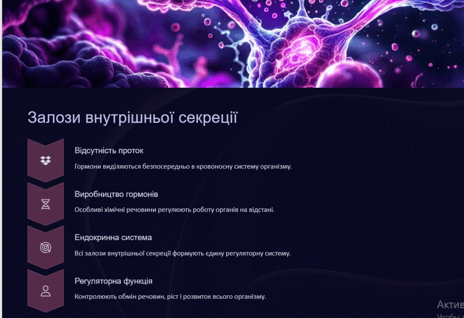 0800spjl-21aa-940x645.png