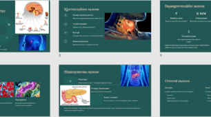 Будова ендокринної системи людини