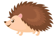 0800sqyc-0040-192x126.png