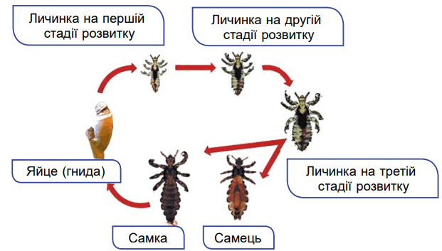 0800suaz-8195-621x353.png