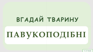 Флеш-картки "Вгадай тварину" (Павукоподібні)