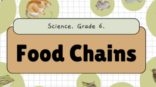 Food Chain