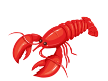 0800sxgu-d834-214x160.png