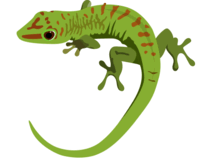 0800sxhi-92eb-202x159.png