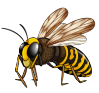 0800sxhs-7571-201x189.png