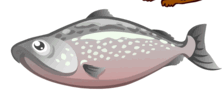 0800sxi5-9452-223x92.png